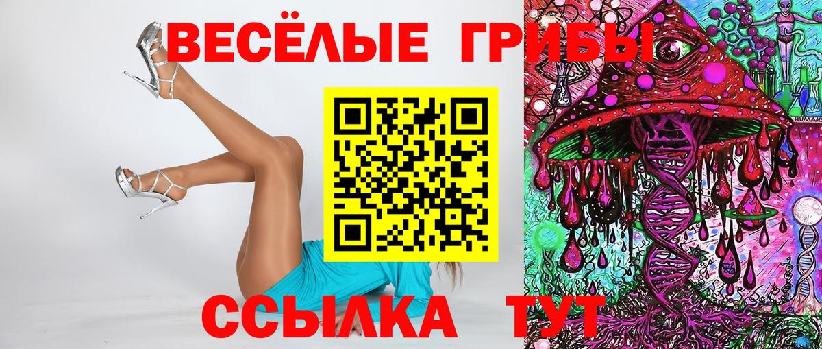 Куйбышев  Псилоцибиновые грибы GOLDEN TEACHER  как найти наркотики  Вход с VPN 