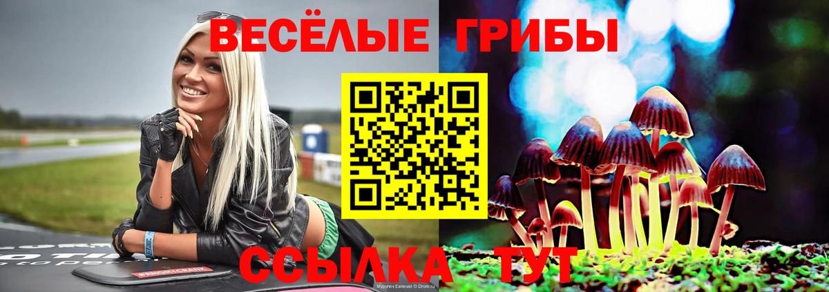 Галлюциногенные грибы Cubensis Куйбышев